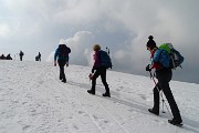 Bel ritorno al Magnolini e sul Monte Alto il 12 marzo 2016  - FOTOGALLERY